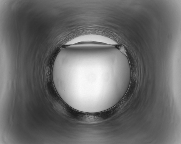 X0000086280605200704262038