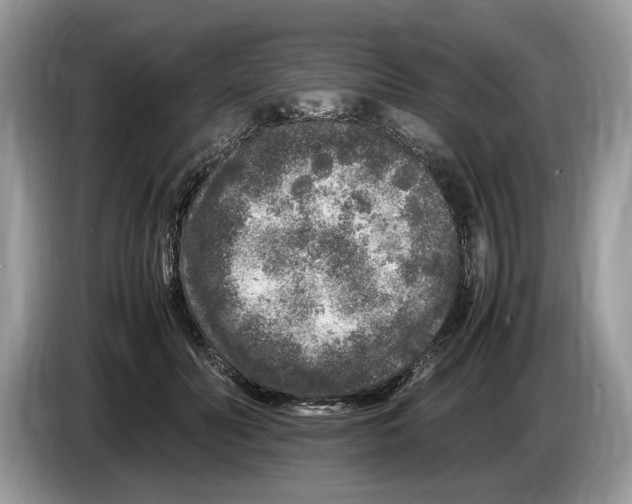 X0000086280606200704262038