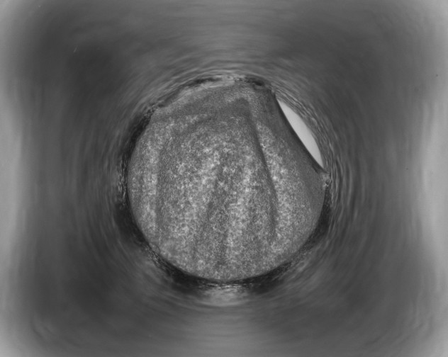 X0000086280609200704262037