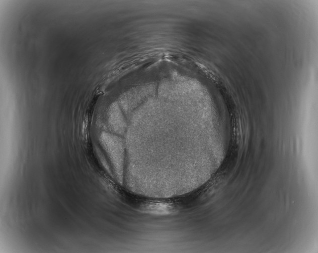 X0000086280610200704262037