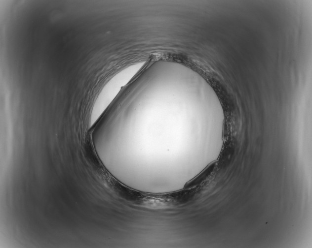 X0000086280611200704262037