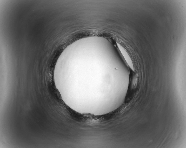 X0000086280613200704262037