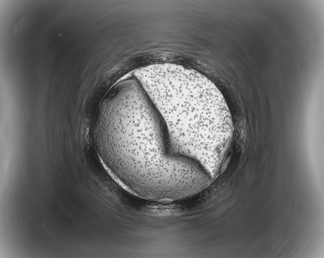 X0000086280615200704262037