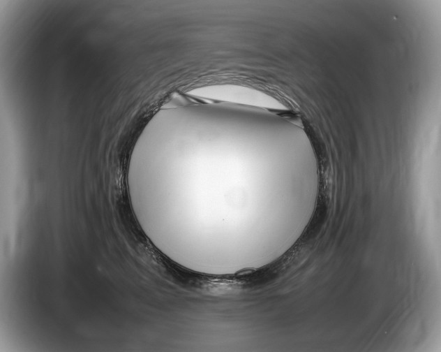 X0000086280617200704262037