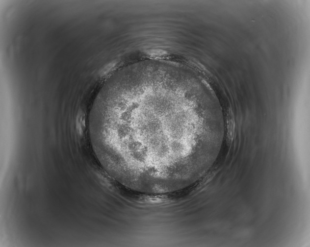 X0000086280618200704262037
