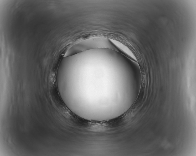 X0000086280621200704262037