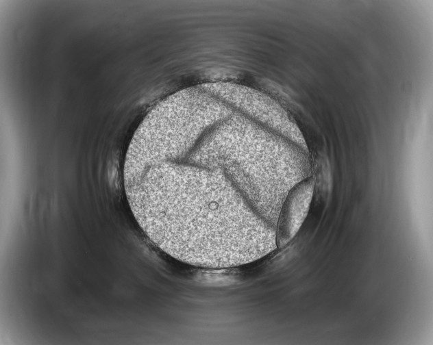 X0000086280622200704262037