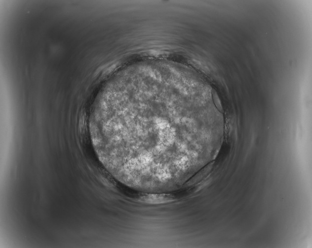 X0000086280623200704262037