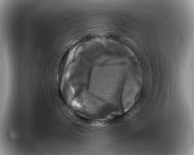 X0000086280624200704262037
