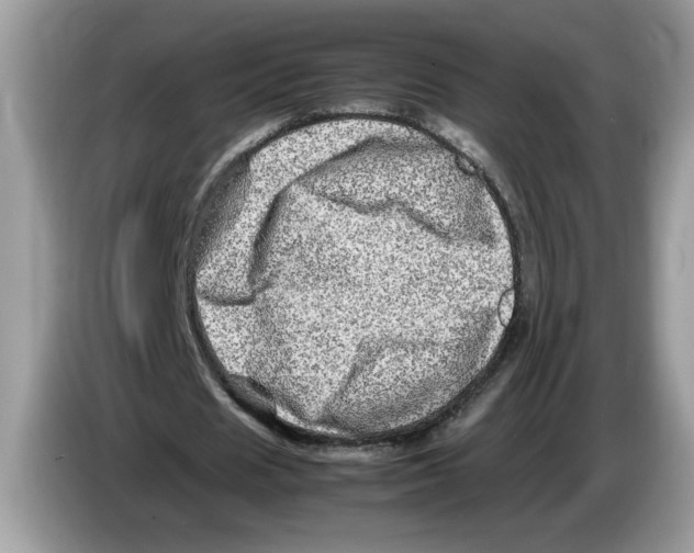 X0000086280625200704262037