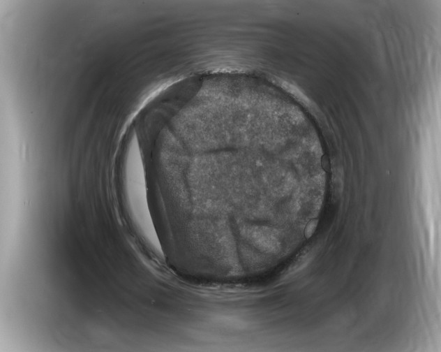 X0000086280626200704262037