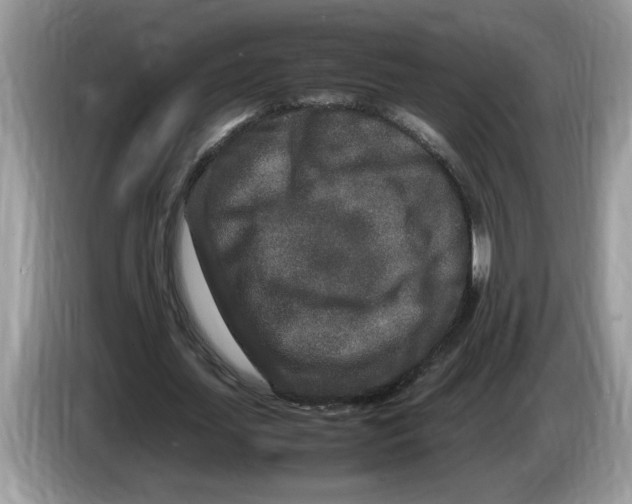 X0000086280627200704262037
