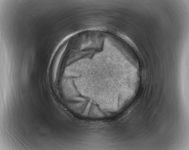 X0000086280628200704262037