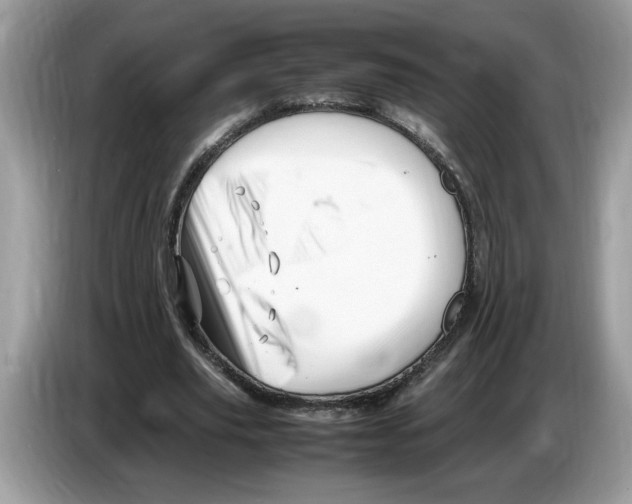 X0000086280629200704262037