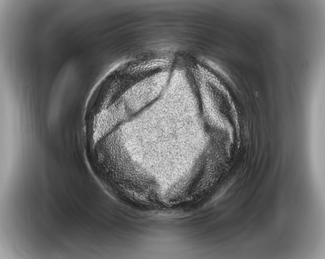 X0000086280630200704262037