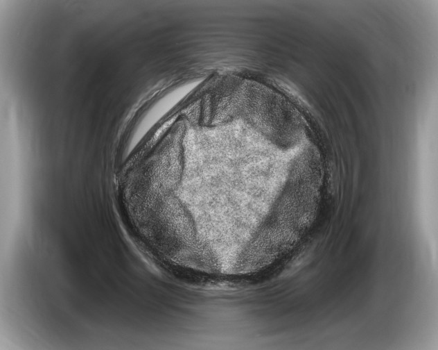 X0000086280634200704262037