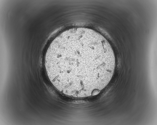 X0000086280636200704262037