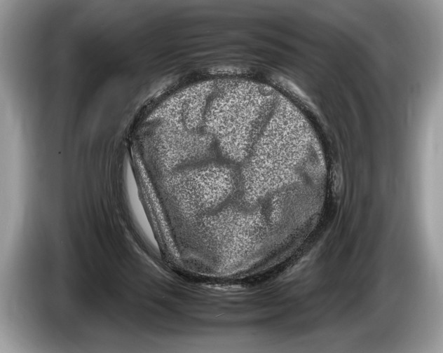 X0000086280637200704262037
