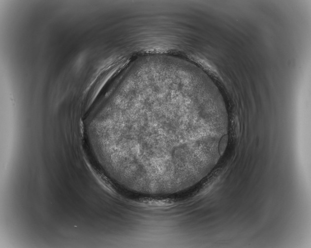 X0000086280638200704262037