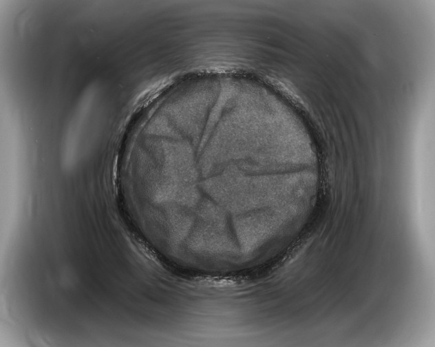 X0000086280640200704262037