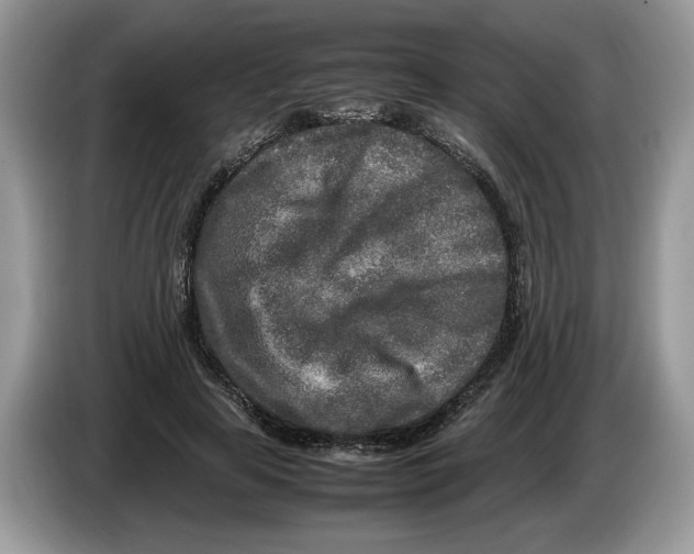 X0000086280641200704262037