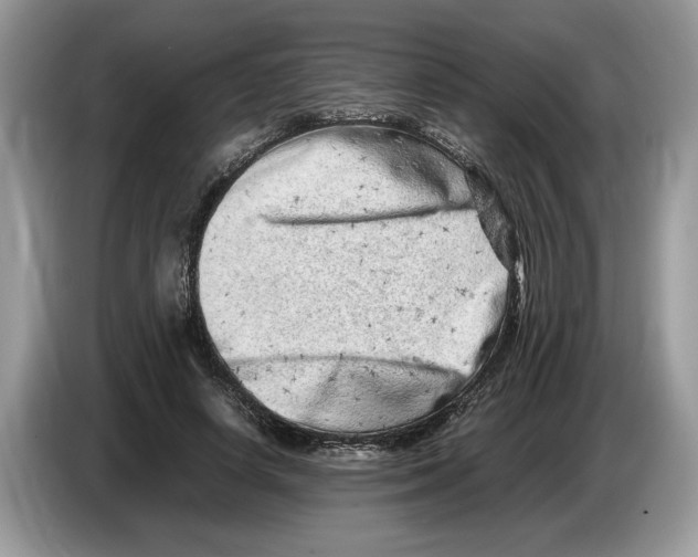 X0000086280642200704262037