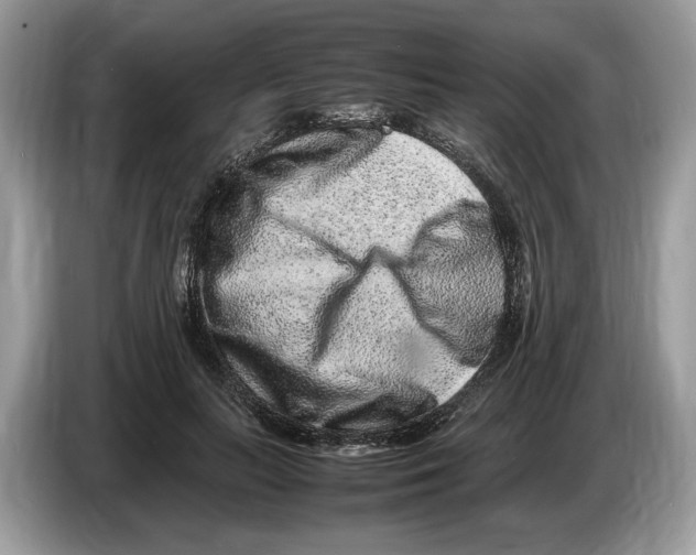 X0000086280647200704262037