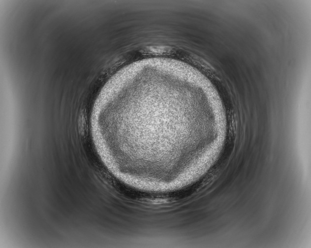X0000086280651200704262037