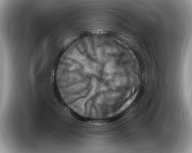 X0000086280652200704262037