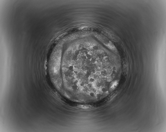 X0000086280654200704262037