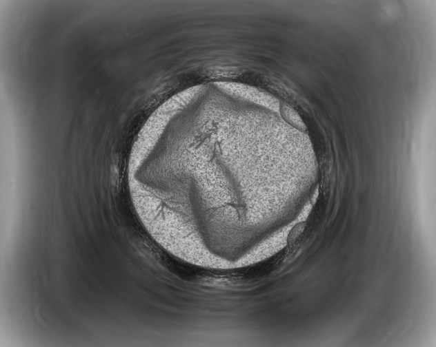 X0000086280655200704262037