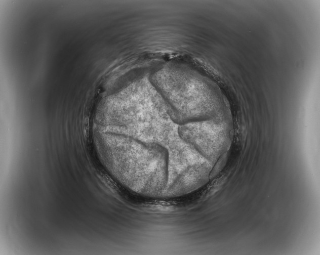 X0000086280656200704262037