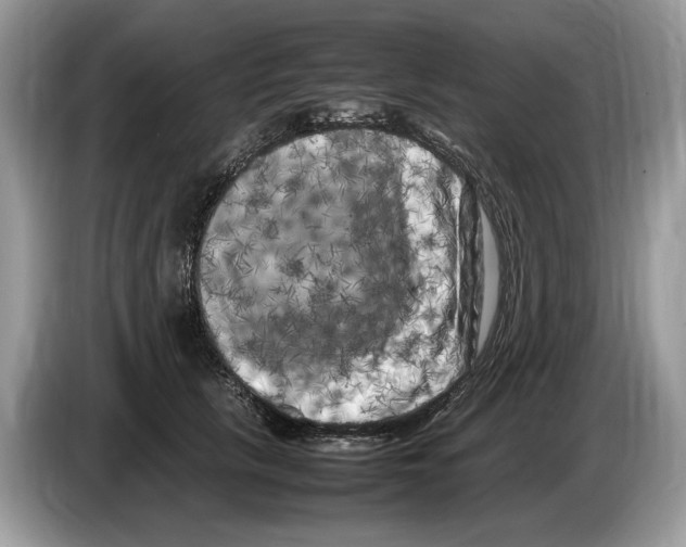 X0000086280657200704262037