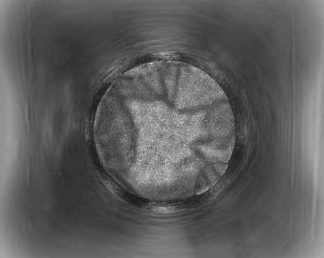 X0000086280658200704262037