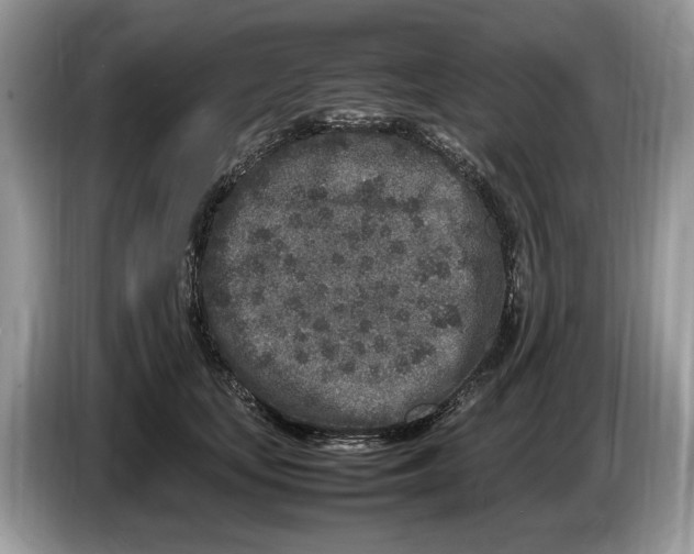 X0000086280659200704262037