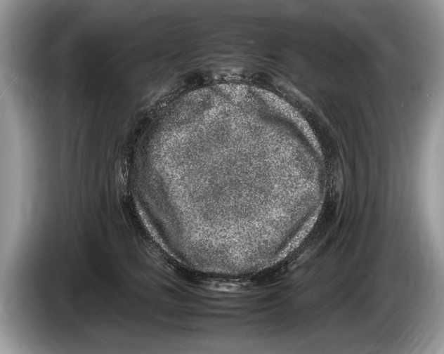X0000086280661200704262037