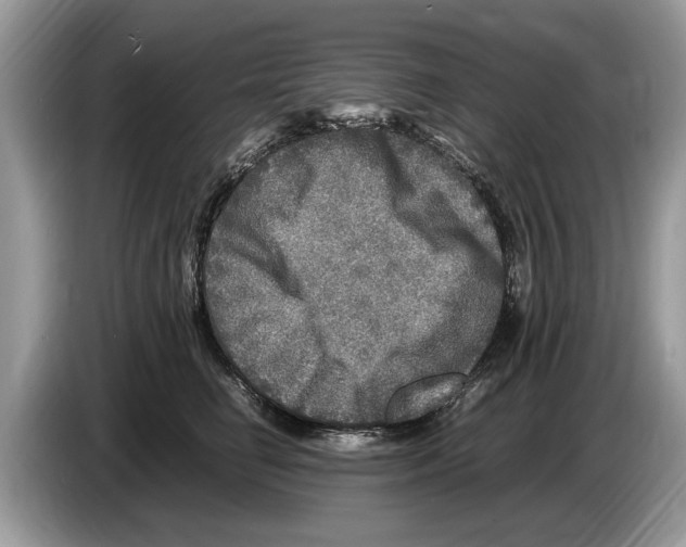 X0000086280662200704262037