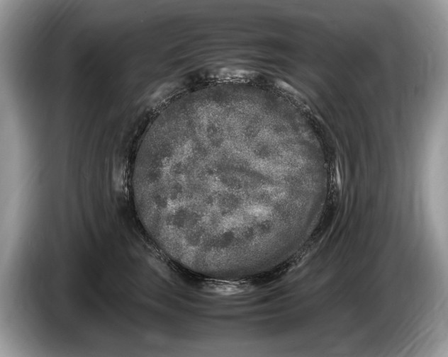 X0000086280663200704262037