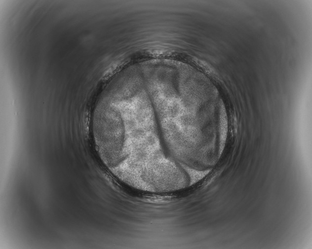 X0000086280664200704262037
