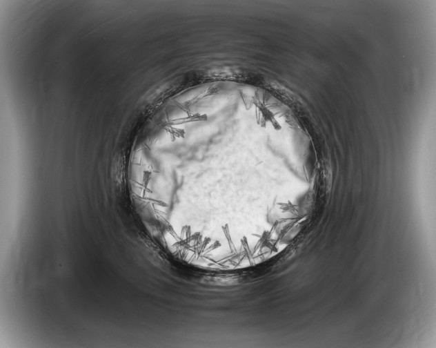 X0000086280665200704262037