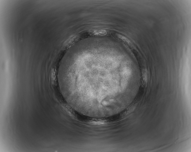 X0000086280667200704262037