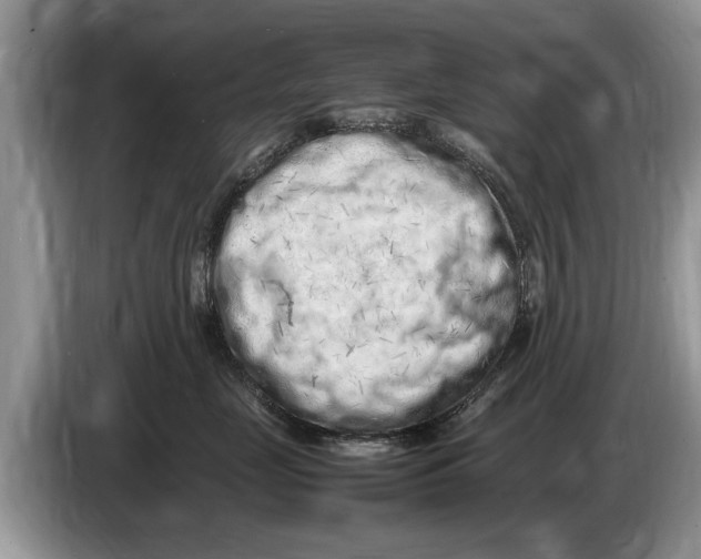 X0000086280669200704262037