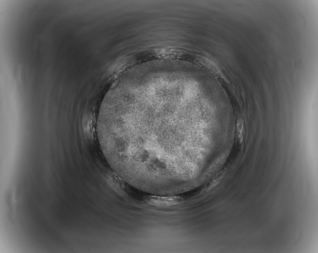X0000086280671200704262037