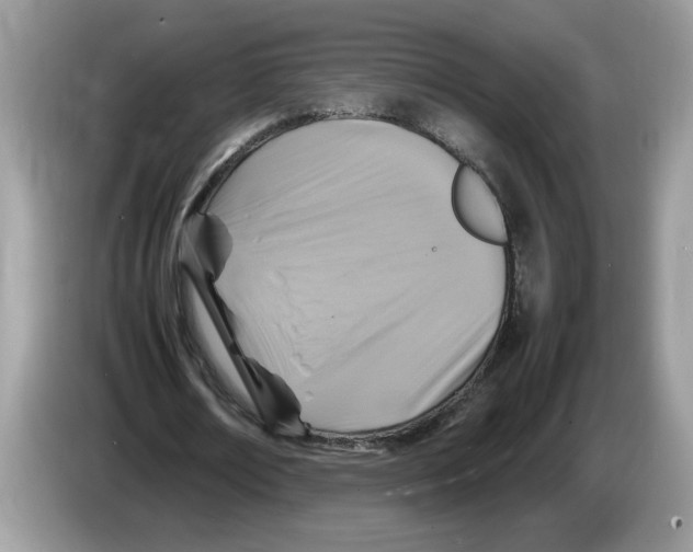 X0000086280674200704262037