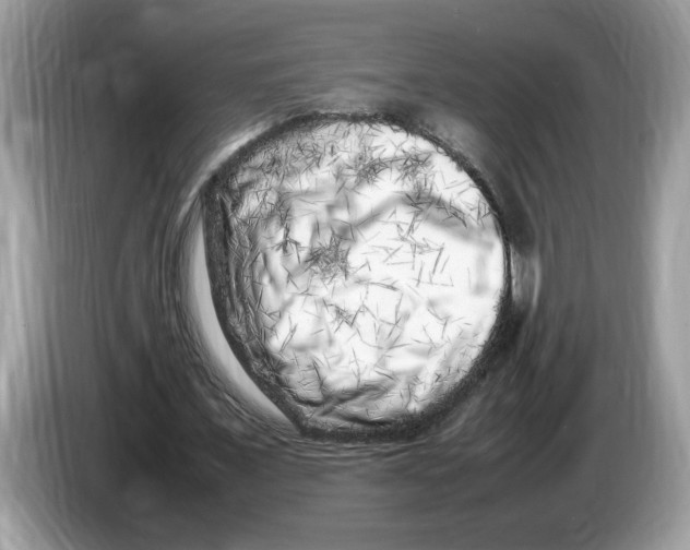 X0000086280675200704262037