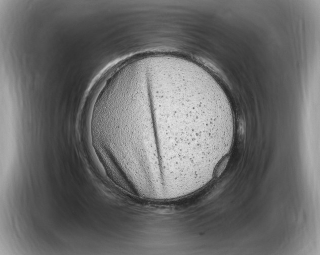 X0000086280676200704262037