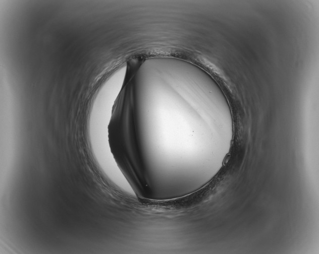 X0000086280681200704262037