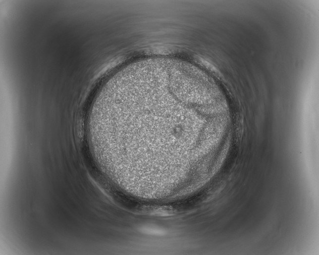 X0000086280683200704262037