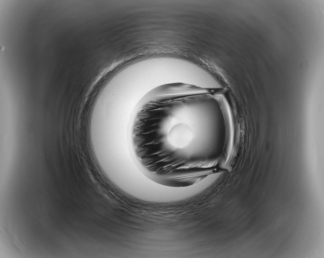 X0000086280684200704262036