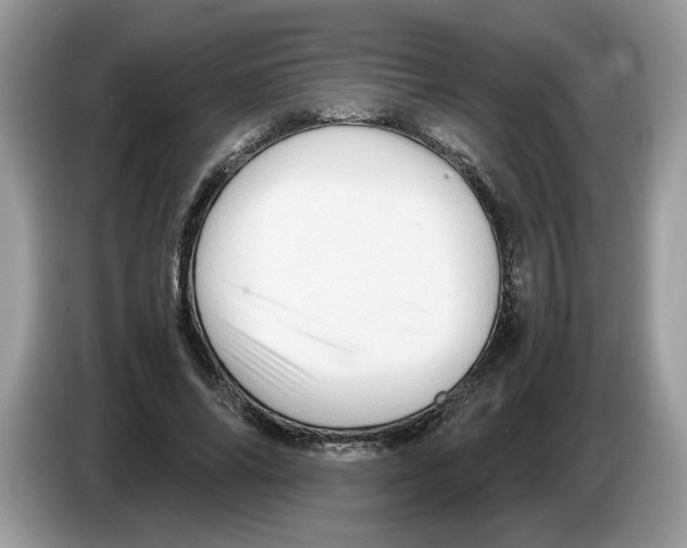 X0000086280686200704262036